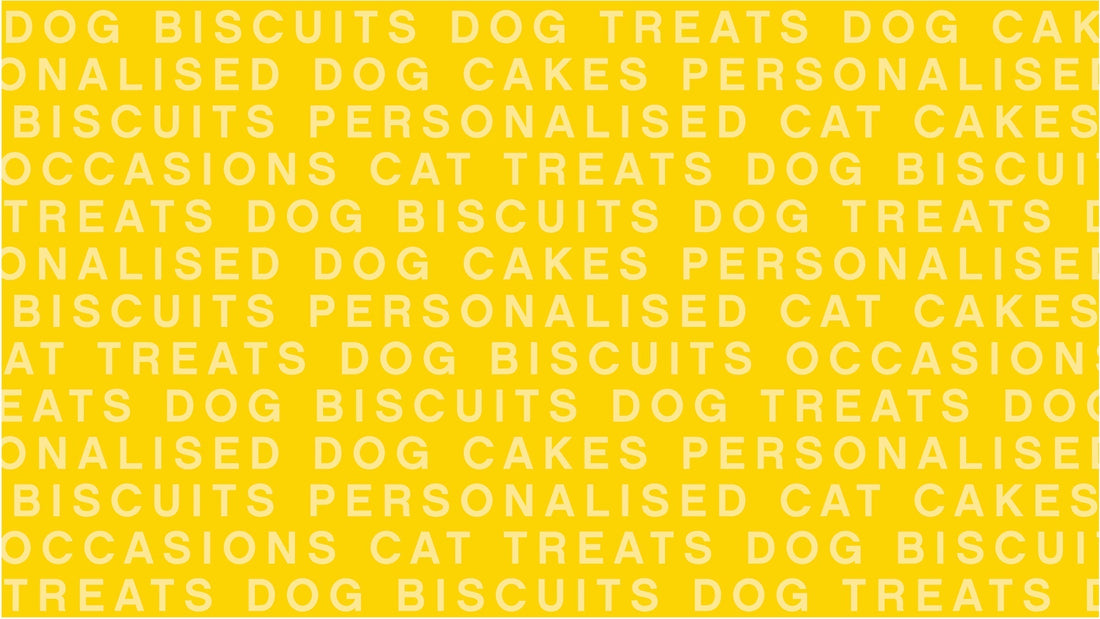 Dog Treats & Biscuits Bundles ๐