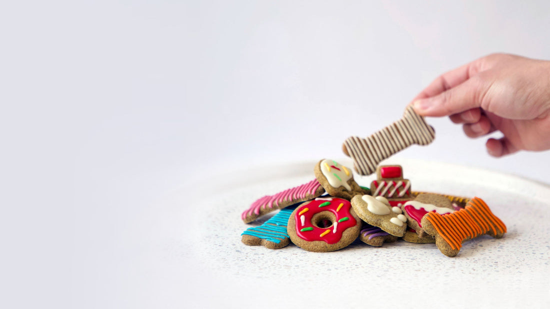 Homemade Dog Treats & Biscuits