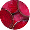 BEETROOT