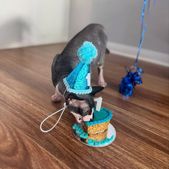 Cat Birthday Cake Custom Design