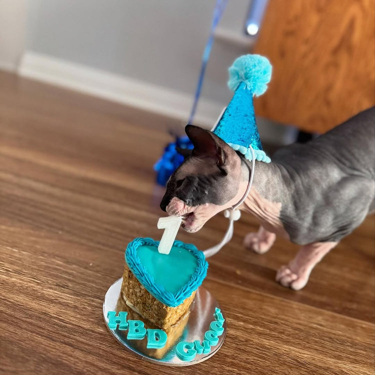 Cat Birthday Cake Custom Design