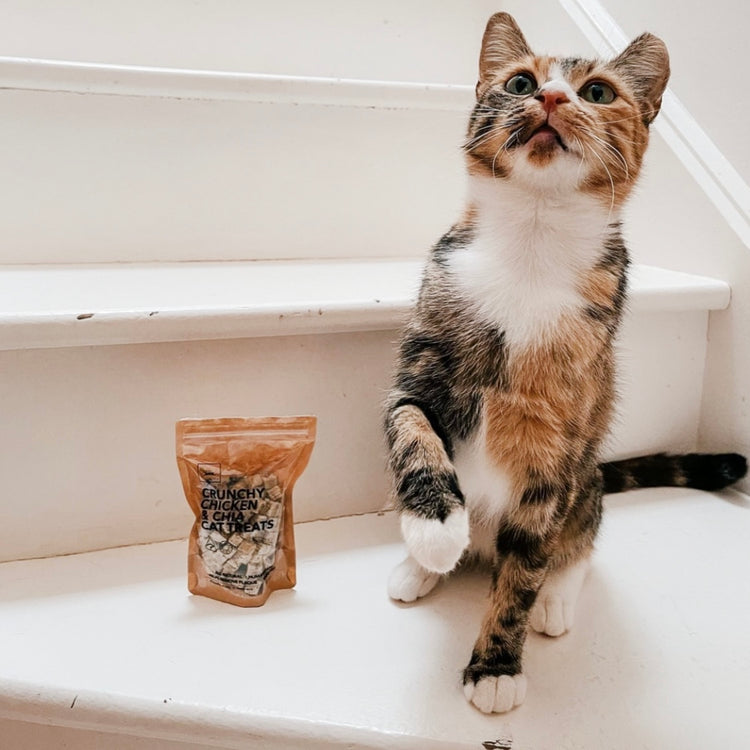 Cat Treats Chicken Cat Cubes Social