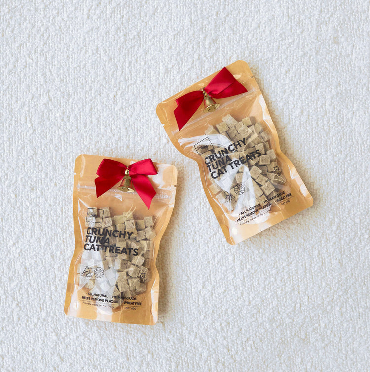 Christmas Cat Treats Presents