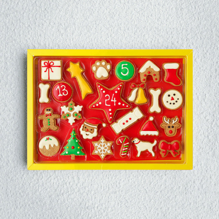 Christmas Dog Advent Calendar Australia