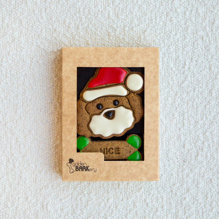 Christmas Dog Treats Biscuits Gifts Naughty and Nice in Pack