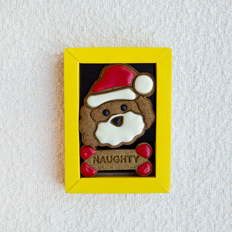Christmas Dog Treats Biscuits Gifts Naughty and Nice Open