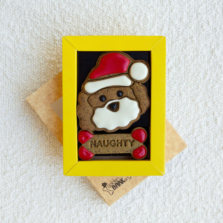 Christmas Dog Treats Biscuits Gifts Naughty and Nice Lid Angle