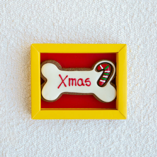 Christmas-Gifts-For-Dogs-Woofmas-Dog-Bone-02