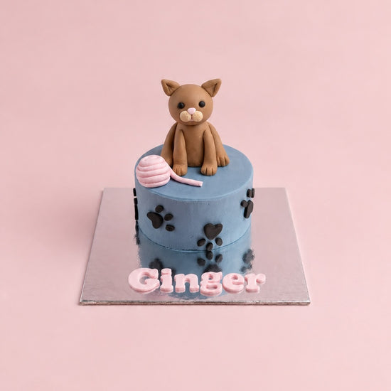 Custom Cat Cake for Your Kitty&