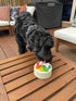 Rainbow Dog Birthday Cake Arty