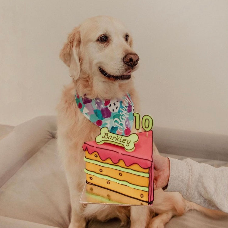 Barkley With Dog Birthday Cake Comic Dog Cake Pink
