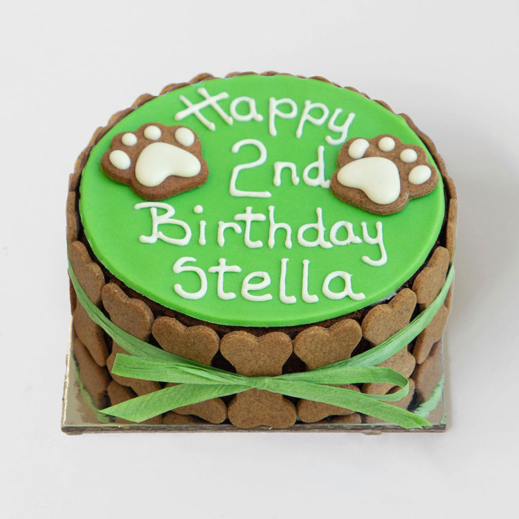 Dog Birthday Cake Dog PAWTY Green White Writing