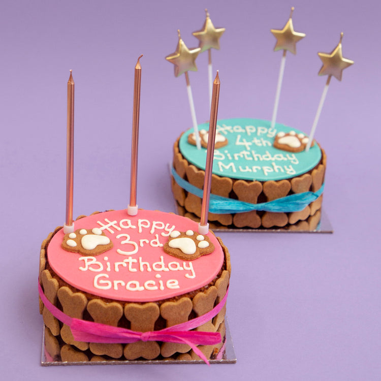 Dog Birthday Cake Dog PAWTY Lifestyle Pink Blue
