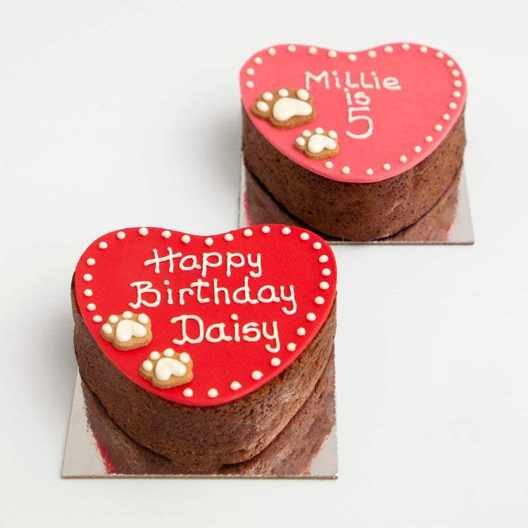 Dog Birthday Cake Heart Red Pink Lifestyle