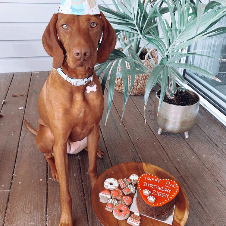 Dog Birthday Cake Heart Red Social