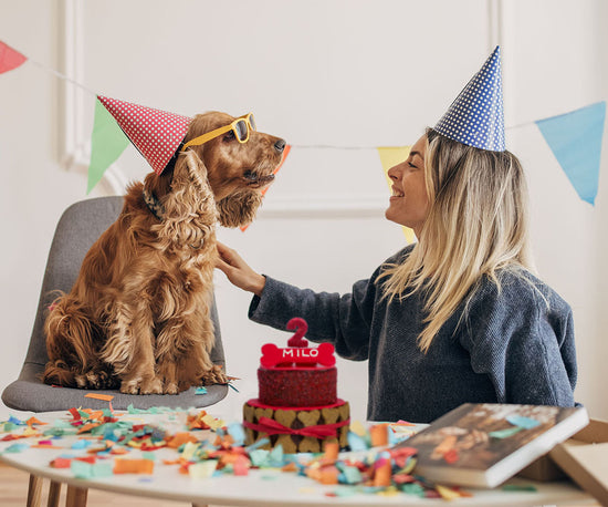 Dog Birthday Cake Pawty Mobile