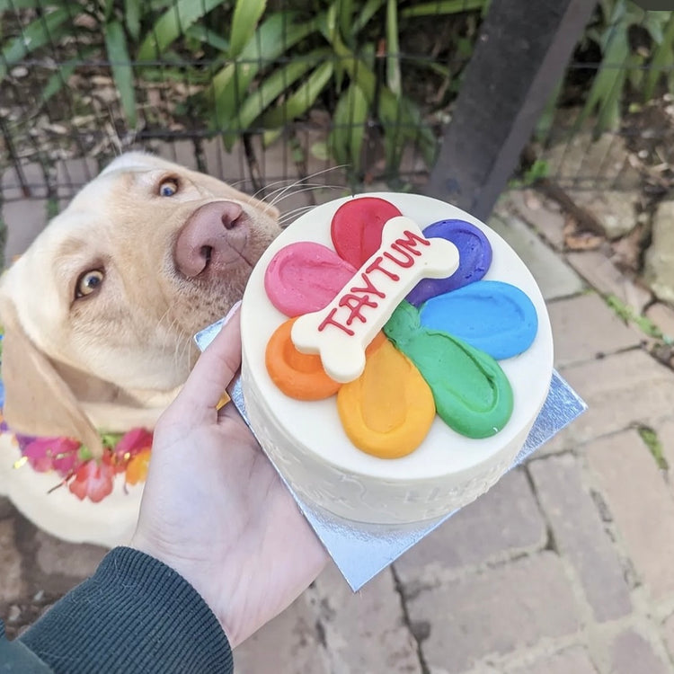 Taytum with Dog Birthday Cake Rainbow