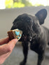 Sonny biting Dog Pawty Cake