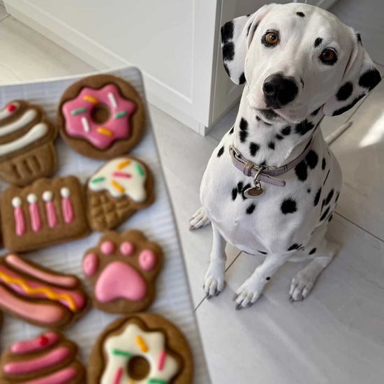 Dog Biscuits Celebration Box Pink Dalmatian