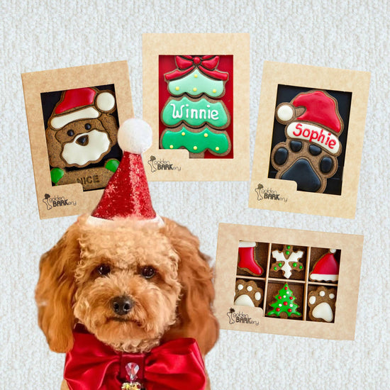 Dog Christmas Gift Ideas - Christmas Haul No 3