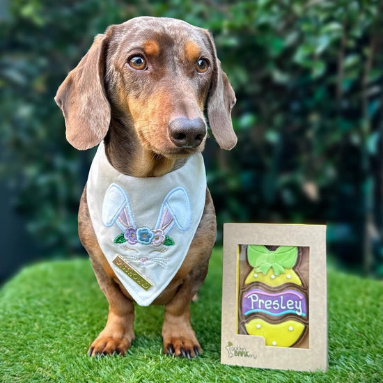 Easter Dog Treats Personalised Easter Egg Presley