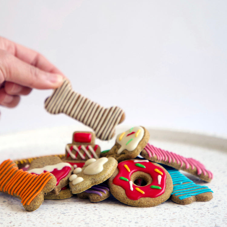 Dog Biscuits & Treats