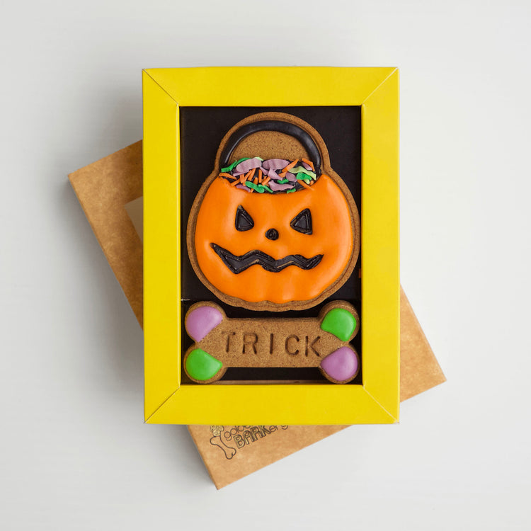 Halloween Dog Treats Trick or Treat Cauldron Biscuits