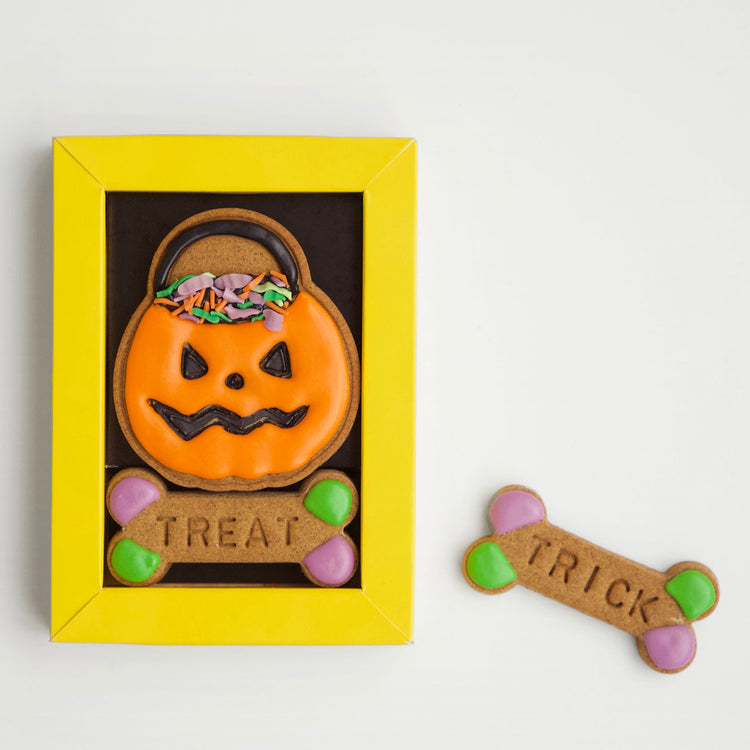 Halloween Dog Treats Trick or Treat Cauldron Biscuits Open