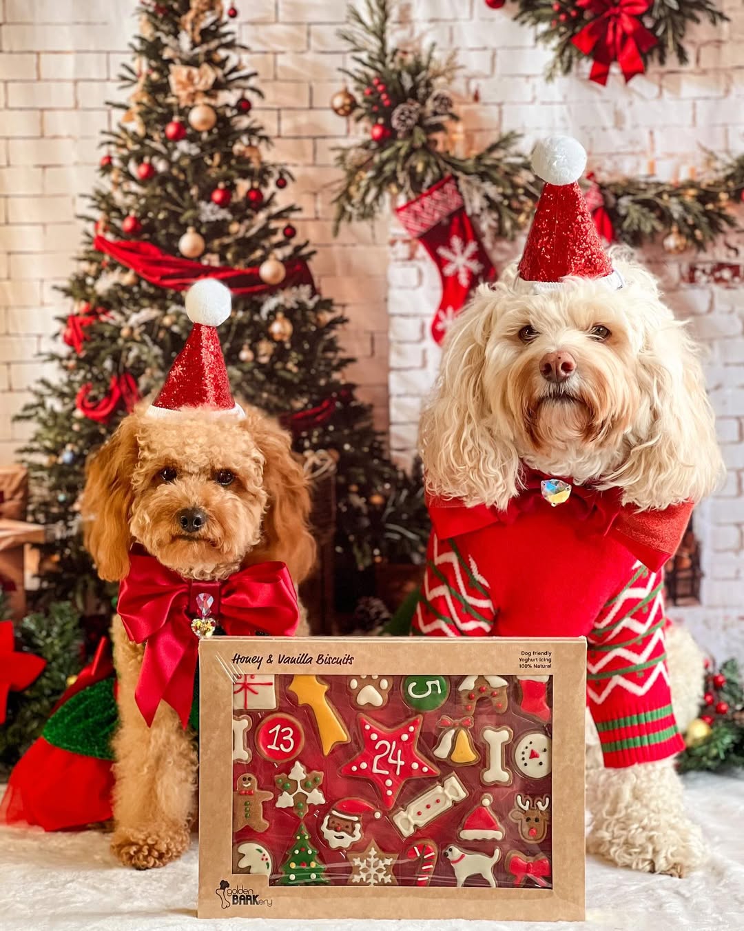 Puppy Advent Calendar Treats