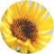 Sunflower Oil