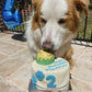 Tennis Ball Dog Birthday Cake Tennis Pup Cake Blue Maverick