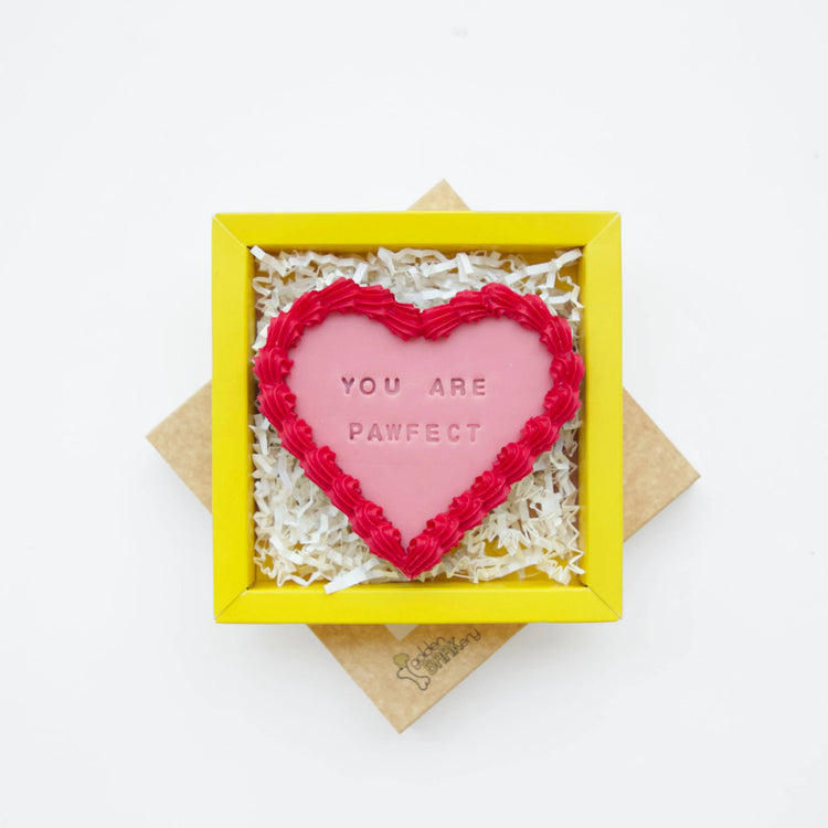 Valentines Dog Treats Valentines Dog Biscuits Gifts Pawfect Pink Lid Angle