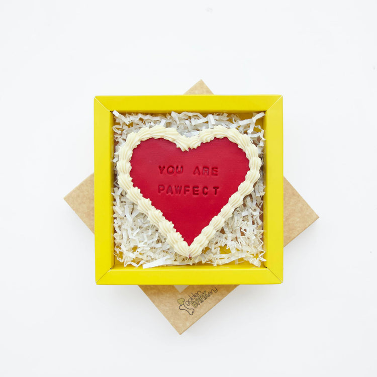 Valentines Dog Treats Valentines Dog Biscuits Gifts Pawfect Red Lid Angle