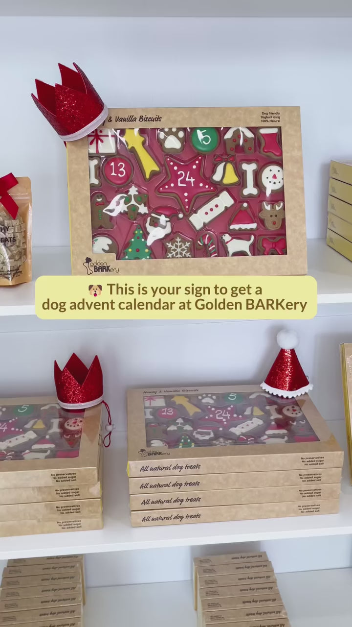 Dog Christmas Advent Calendar