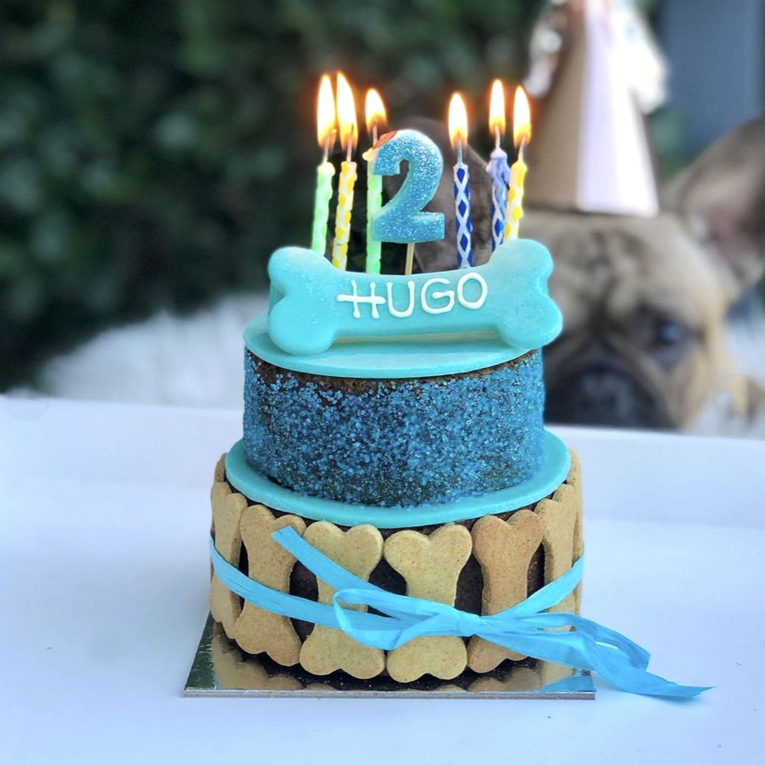 Hugo Eating Dog Birthday Cake 2 Tier Dream Blue