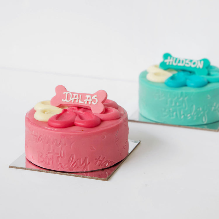 Dog Birthday Cake Blossom Fun Angle