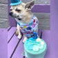 Bamm Bamm with Dog Birthday Cake Blossom Blue