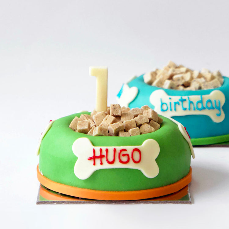 Dog Birthday Cake Bowl With Dog Treats Green & Blue