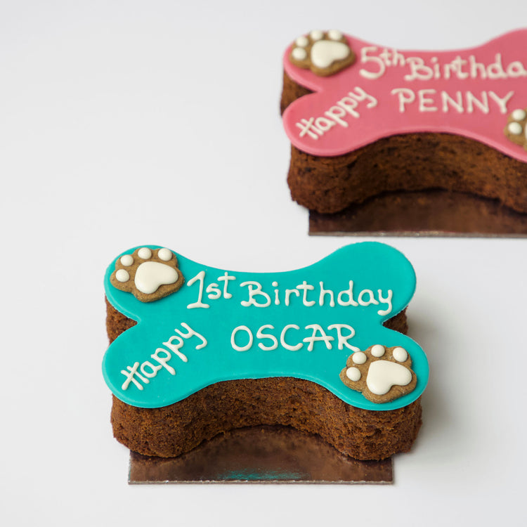 Dog Birthday Cake Dog Bone Blue & Pink Multi