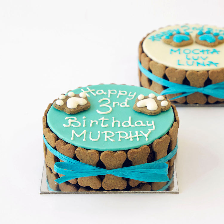 Dog Birthday Cake Dog PAWTY White Blue Front Shot