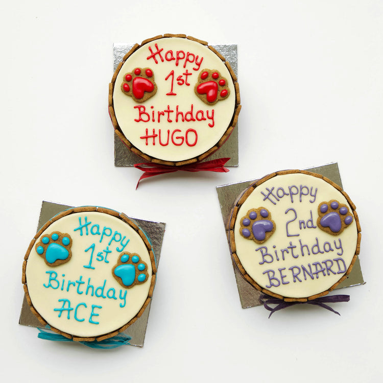 Dog Birthday Cake Dog PAWTY White Multi Overhead