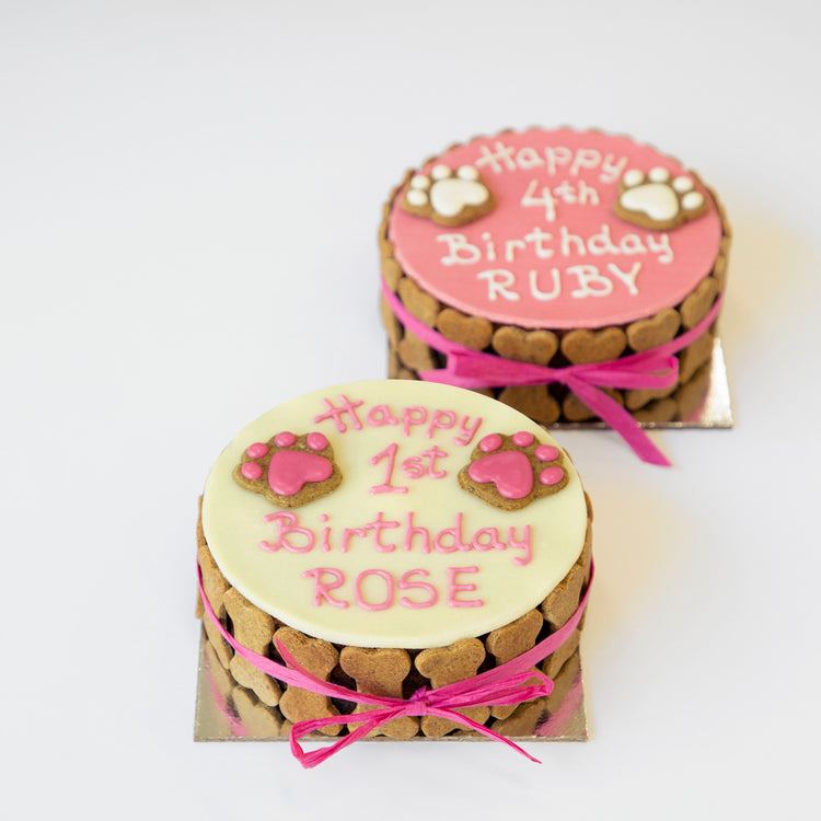 Dog Birthday Cake Dog PAWTY White Pink Front Shot