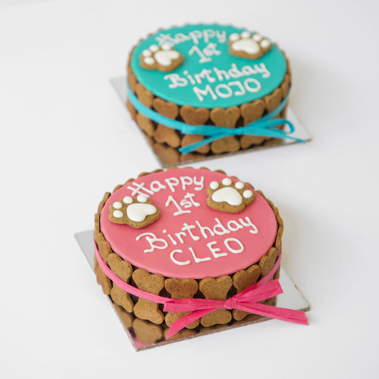 Dog Birthday Cake Dog PAWTY Pink Blue Side Angle