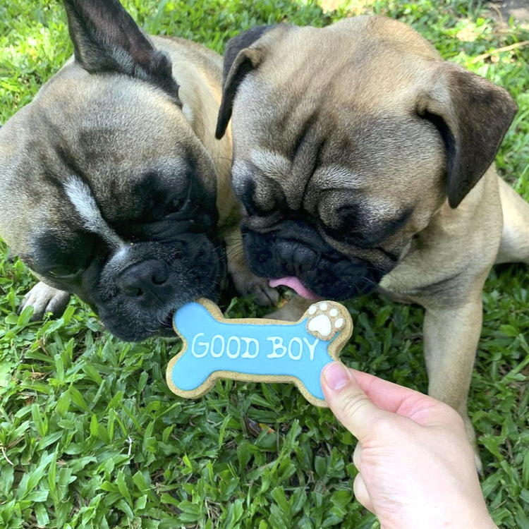 Dog Biscuits Good Boy And Good Girl Boy Blue Social