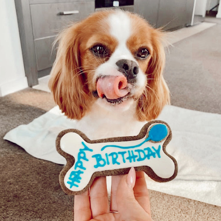 Dog Biscuits Happy Birthday Dog Bone White Blue Social Lick