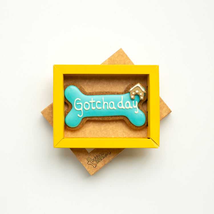 Dog Biscuits Happy Gotcha Day Dog Bone Blue In Tray
