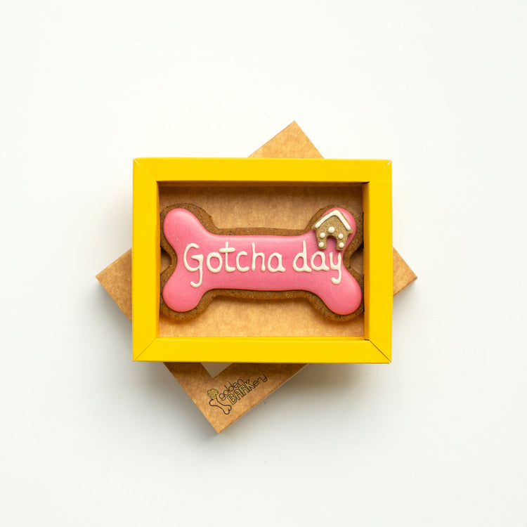 Dog Biscuits Happy Gotcha Day Dog Bone Pink In Tray