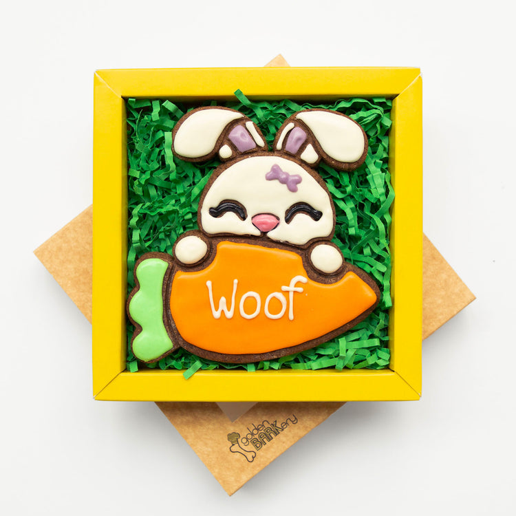 Easter Dog Treats Woof Dog Gift Bunny Carrot Lid Angle