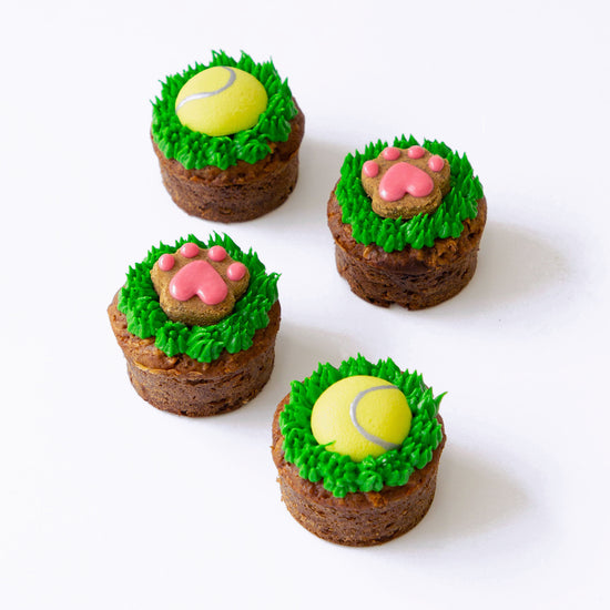 Tennis Ball Dog Cupcakes Pupcakes Puppy Cakes in Pink