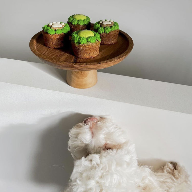 Tennis Ball Dog Cupcakes Pupcakes Puppy Cakes in White with Dog